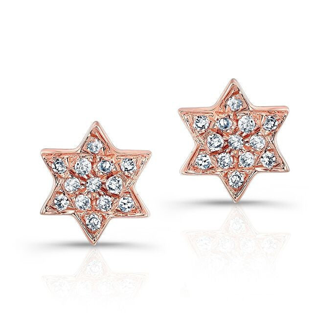 14KT Rose Gold Large Jewish Star Stud Earrings